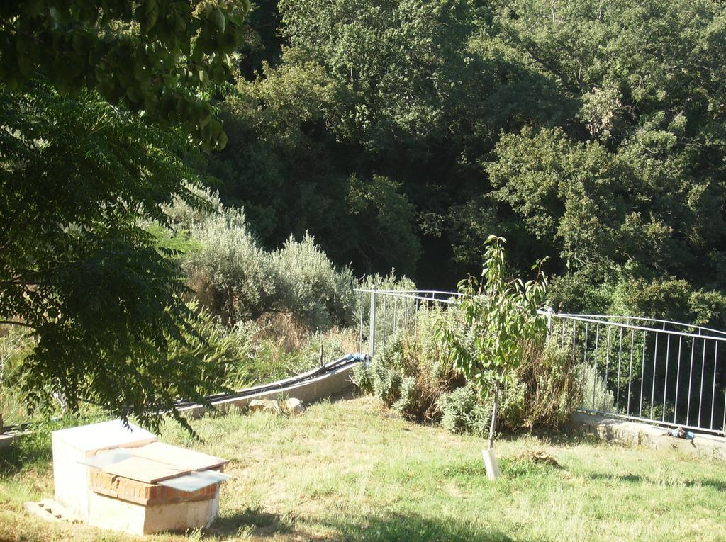 Montorgiali Maremma Verde 아파트 객실 사진